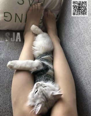 局长胯下的俏秘书_国产剧在线观看视频